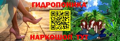 крисы Тулун