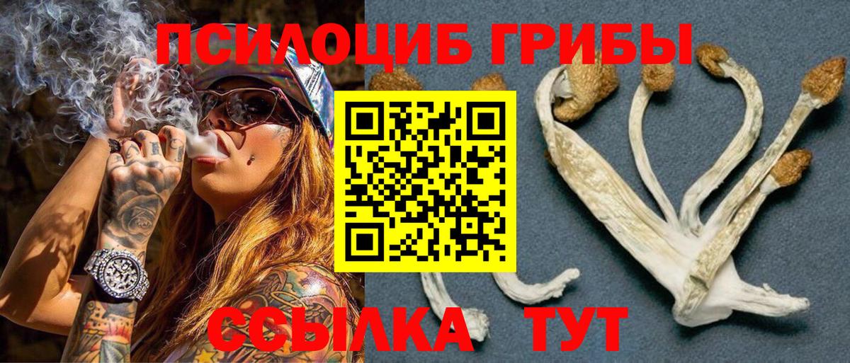 Лангепас  Галлюциногенные грибы Psilocybe  Вход с VPN 